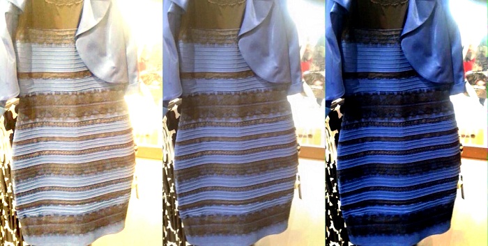 Dress color illusion tops 10 weirdest science news